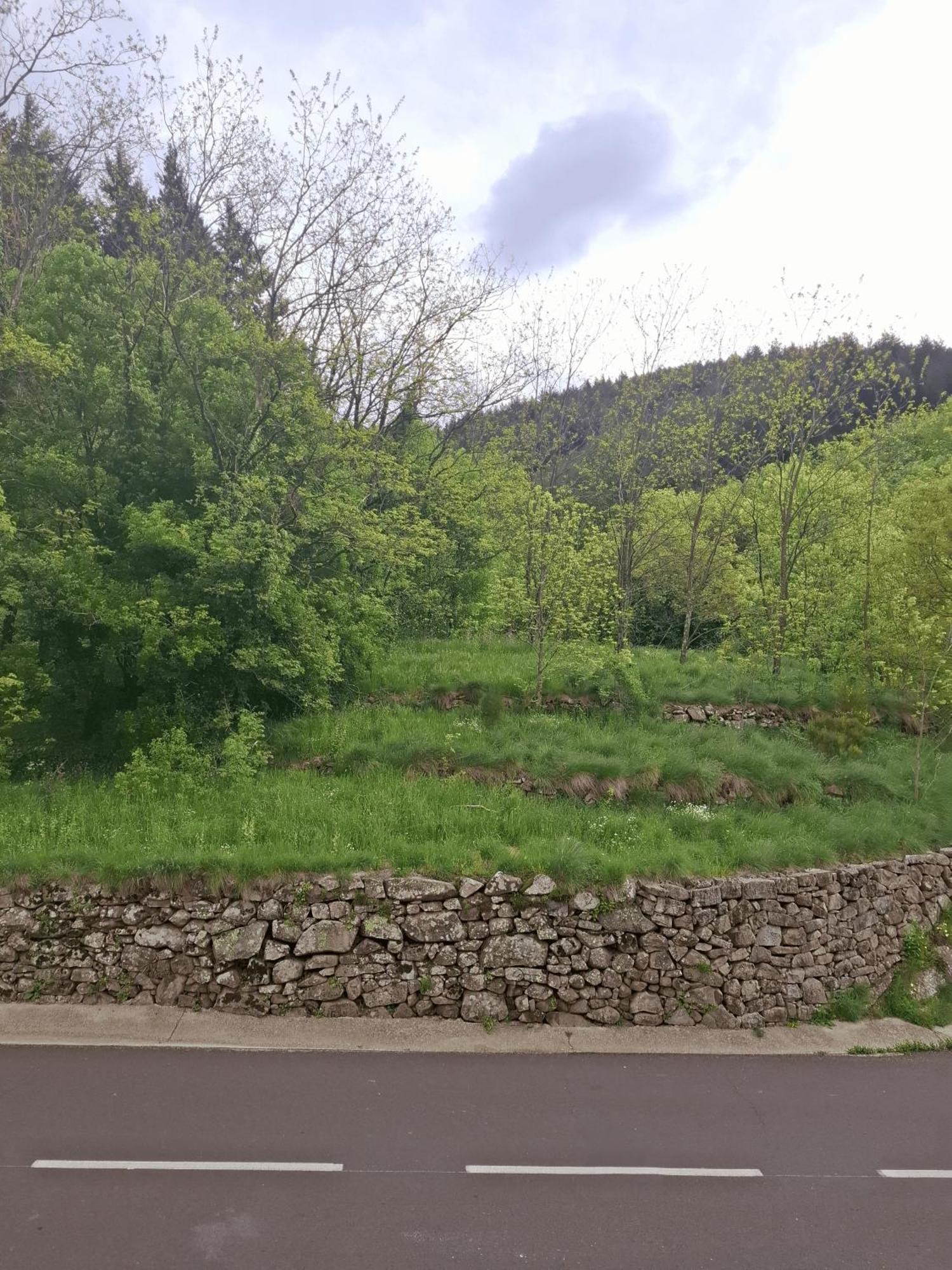 Auberge Arthea Laviolle Rom bilde