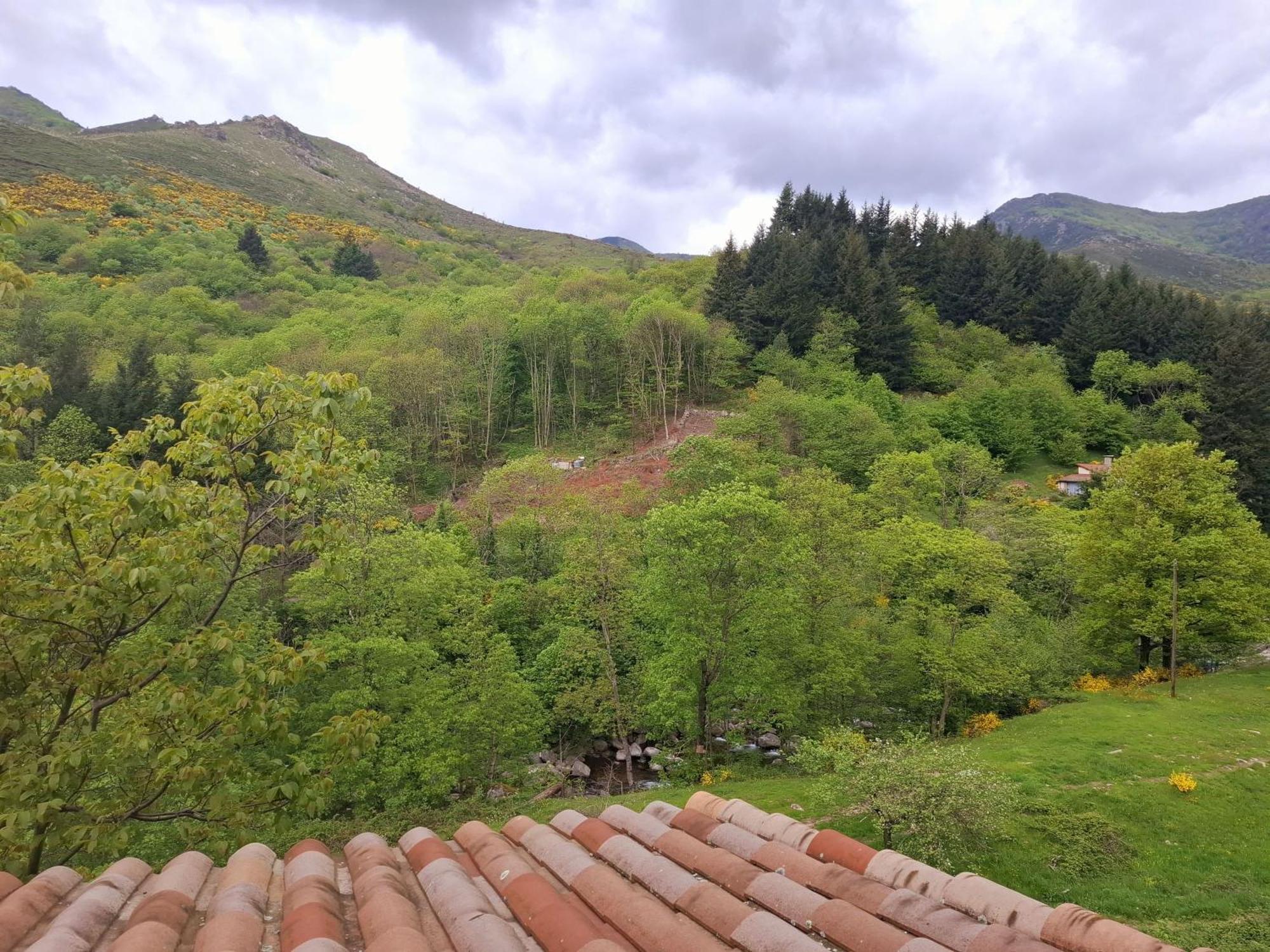 Auberge Arthea Laviolle Rom bilde